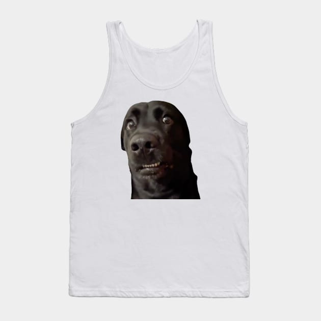 Confused Dogs Shirt, Awkward Dogs, Awkward Staring, Two Dogs Staring Matching Tank Top by CamavIngora